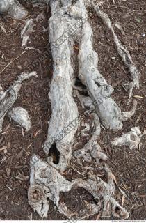 Photo of Mixed Miami Textures